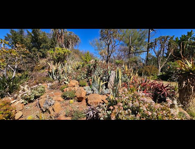 200HA FARM FOR SALE IN PRIMINDIA